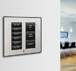 Cameo® Keypad, Standard Mount Image