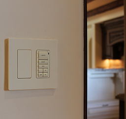 Cameo® Wireless Keypad w-infiNET EX® Image